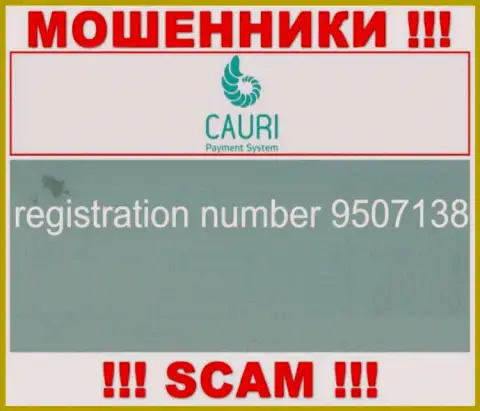 Номер регистрации, который принадлежит мошеннической конторе Каури: 9507138