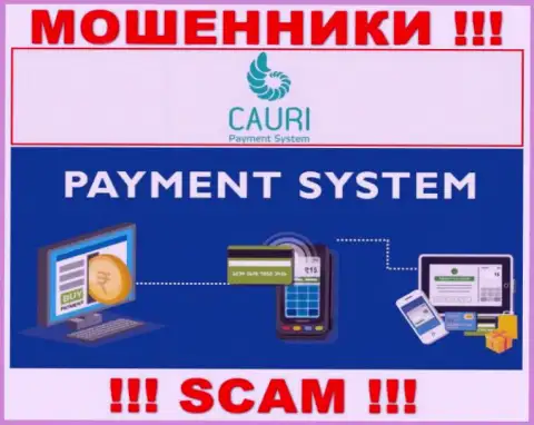 Мошенники Cauri, работая в области Платежная система, оставляют без денег клиентов
