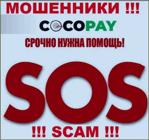 Можно попытаться вернуть обратно вклады из организации Coco-Pay Com, обращайтесь, узнаете, что делать