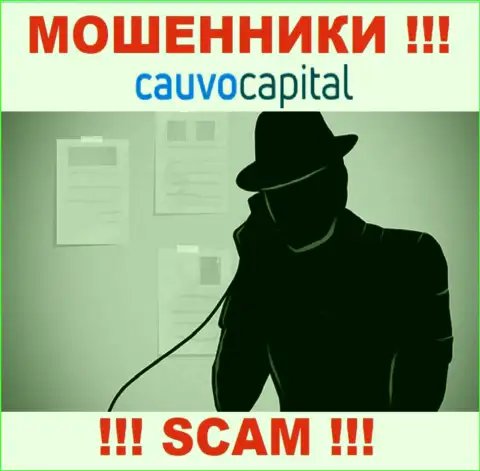 Слишком рискованно доверять Cauvo Capital, они интернет-мошенники, находящиеся в поиске очередных наивных людей