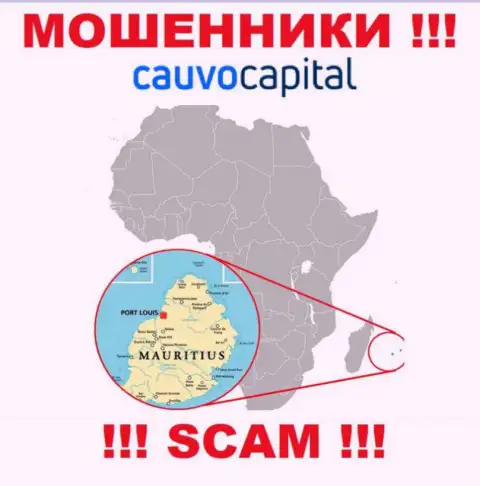 Организация CauvoCapital сливает денежные активы доверчивых людей, зарегистрировавшись в офшоре - Mauritius