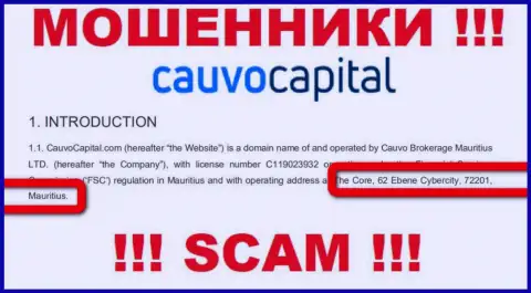Невозможно забрать обратно вложения у компании CauvoCapital - они сидят в оффшорной зоне по адресу - The Core, 62 Ebene Cybercity, 72201, Mauritius
