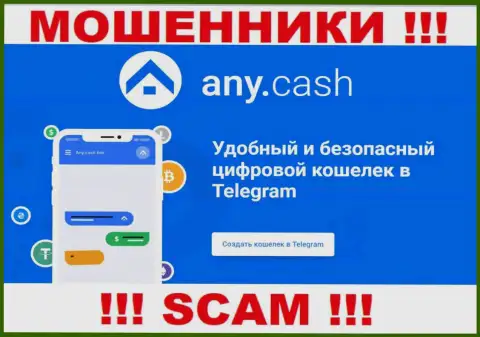 AnyCash - это мошенники, их работа - Криптовалютный кошелёк, направлена на кражу денег доверчивых клиентов