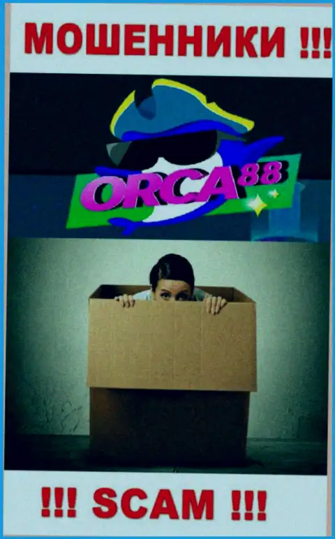 Начальство Orca 88 в тени, у них на официальном портале о себе инфы нет