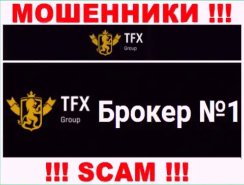 Не доверяйте финансовые средства TFX Group, потому что их направление работы, FOREX, развод
