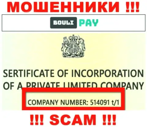 Номер регистрации Bouli Pay возможно и липовый - 514091 t/1