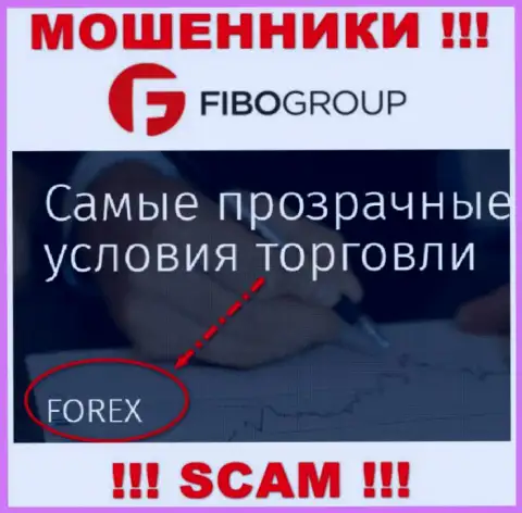Фибо Груп заняты сливом доверчивых клиентов, орудуя в сфере FOREX