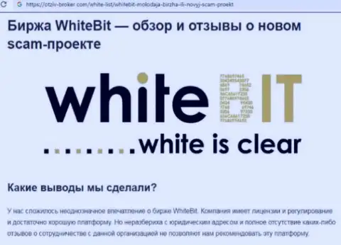 White Bit - это компания, работа с которой доставляет лишь потери (обзор мошеннических действий)