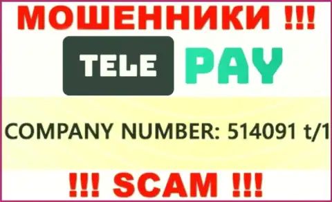 Номер регистрации TelePay, который показан обманщиками на их web-ресурсе: 514091 t/1