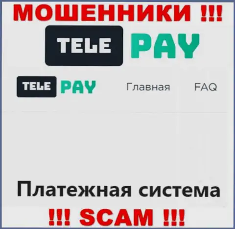 Основная деятельность Tele Pay это Платежная система, будьте очень внимательны, промышляют противоправно
