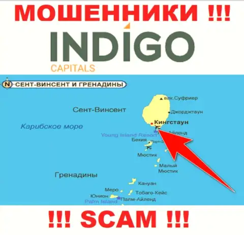 Воры Indigo Capitals зарегистрированы на офшорной территории - Kingstown, St Vincent and the Grenadines