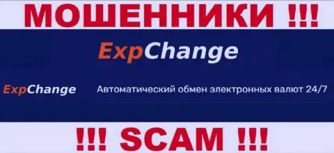 Крипто-обменник - это то на чем, якобы, специализируются internet-мошенники ExpChange Ru