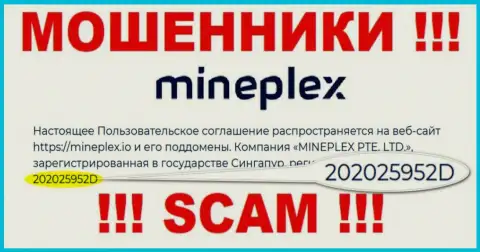 Регистрационный номер очередной мошеннической компании МинеПлекс - 202025952D