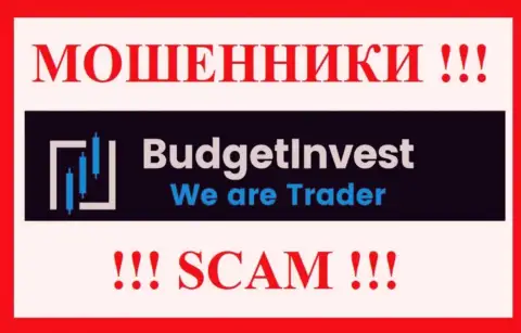 BudgetInvest Org - это КИДАЛЫ !!! Средства не отдают !!!