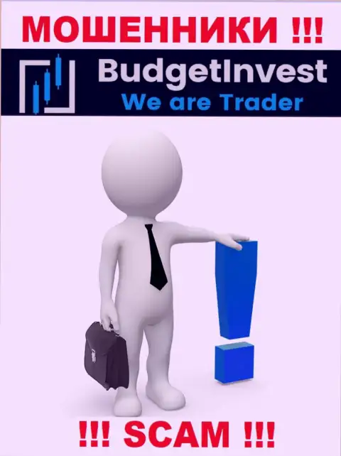 Budget Invest - это internet воры !!! Не сообщают, кто конкретно ими руководит