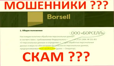 ООО БОРСЕЛЛ - это компания, которая руководит мошенниками Borsell
